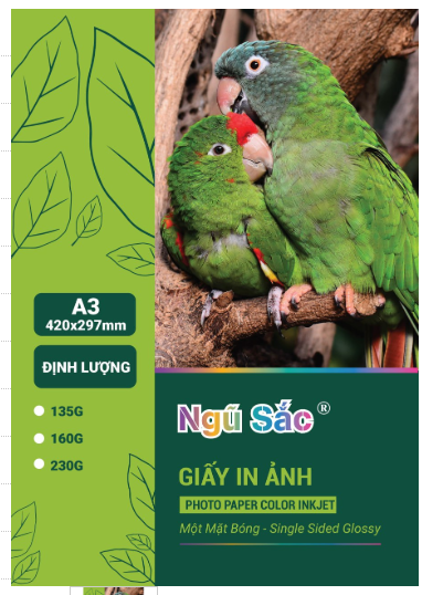 Giấy in ảnh Ngũ Sắc A3 1 mặt