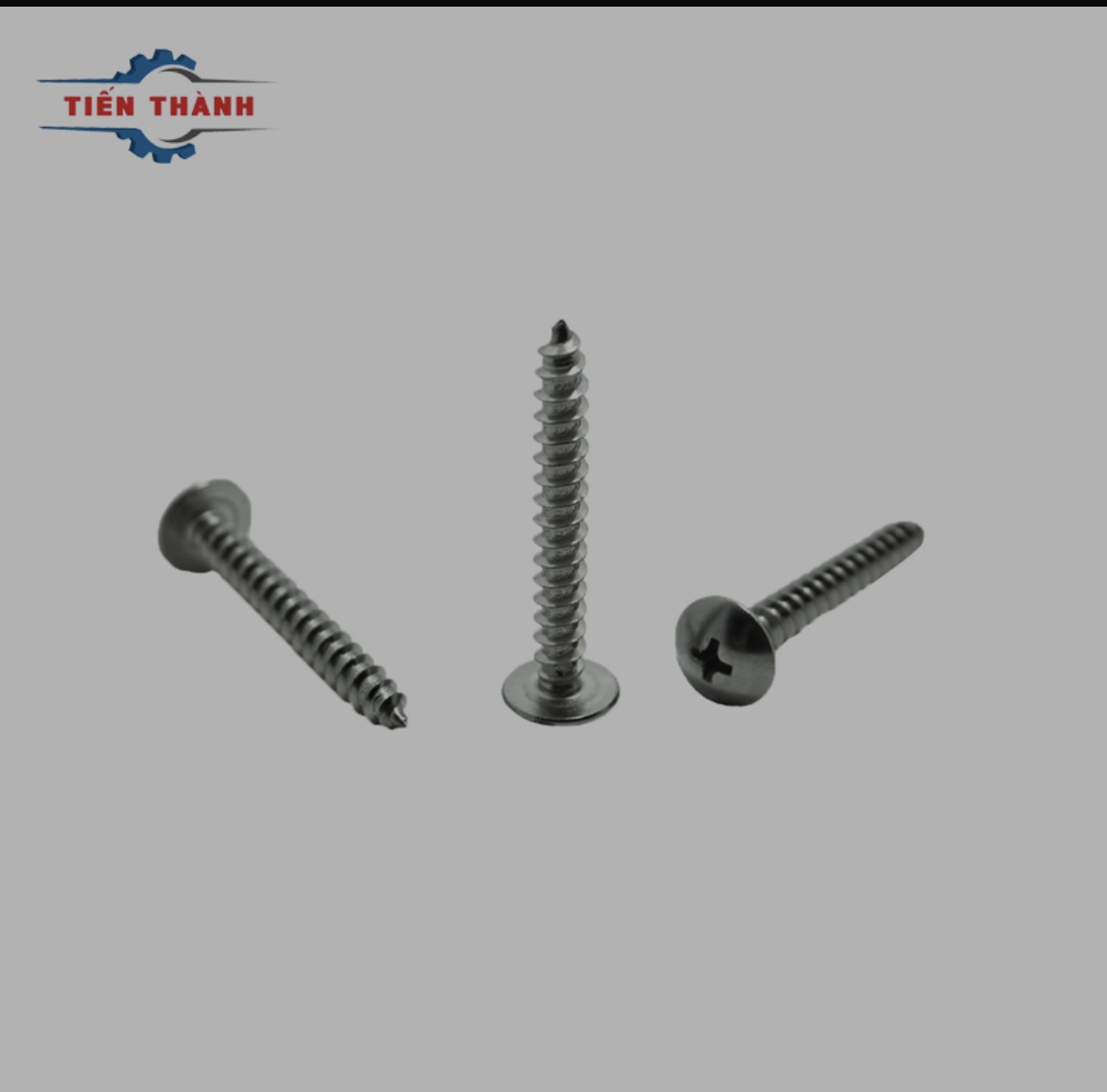 Đinh vít 10cm Tiến Thành (kg)