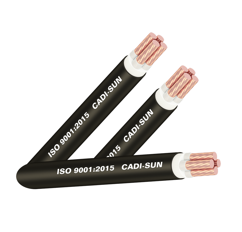 Cặp 4 dây Cadisun CXV-4x95mm2