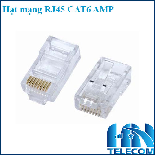 Hạt mạng cat6