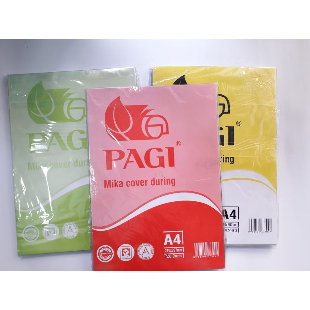 Bìa mica A4 PAGI( ram)