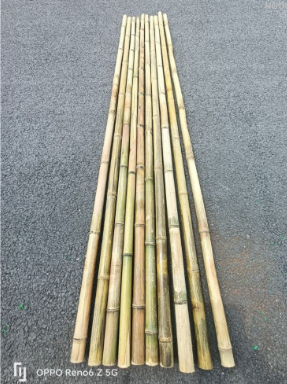 Cán cờ chuối bằng tre 1,2m