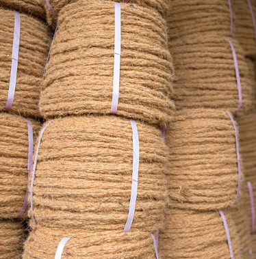 Dây dừa