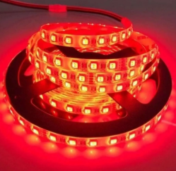 Đèn led dây đỏ 12v (5m)