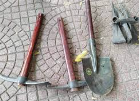 Dụng cụ phác hoạ
