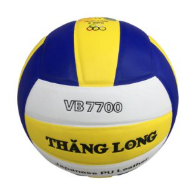 Quả Bóng Chuyền Thăng Long VB7700 (Quả)