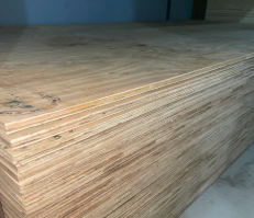 Cốt ép (1,2x2,4m) (Tấm)